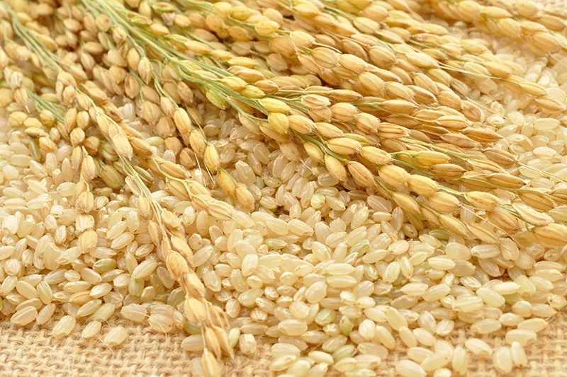 料理の幅が無限大の酵素で作る玄米